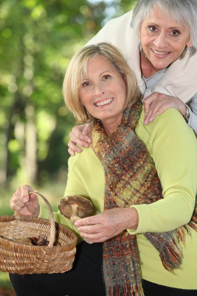 Duas idosas mulheres recolhendo castanhas — Fotografia de Stock
