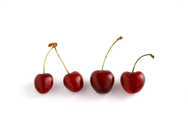 Row of cherries — Stock Photo, Image