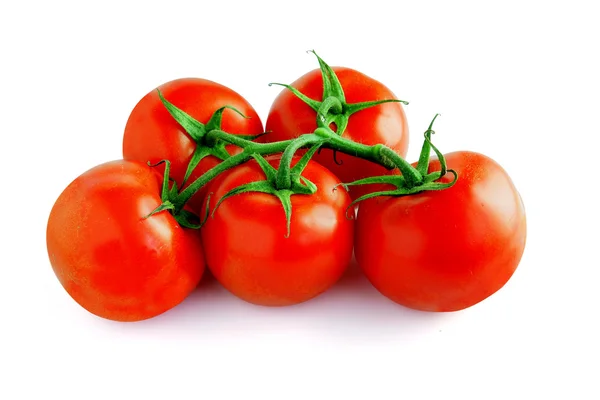 Wijnstok tomaten — Stockfoto