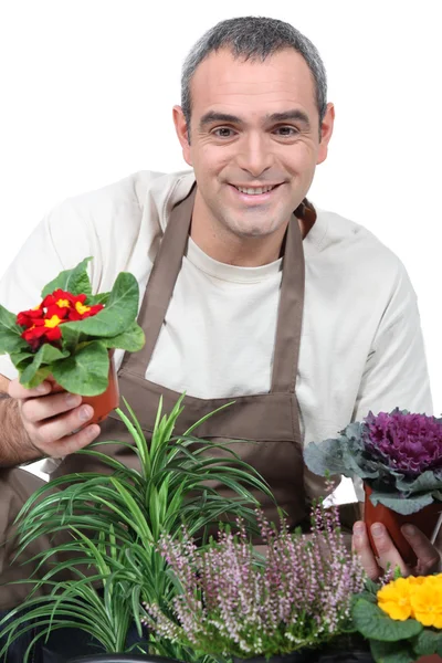 Ein Gärtner mit seinen Pflanzen — Stockfoto