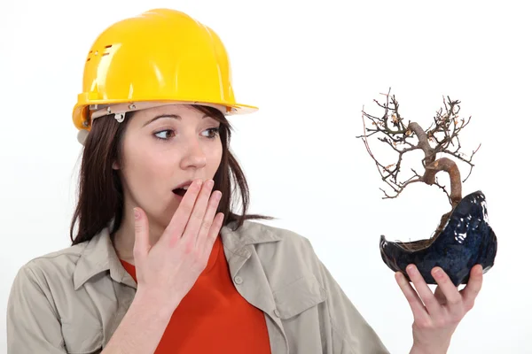 stock image Ecologist upset by burnt tree