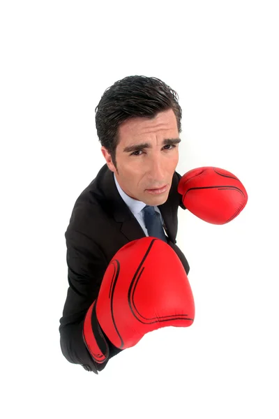 A businessman with boxing gloves on. — Stock Photo, Image