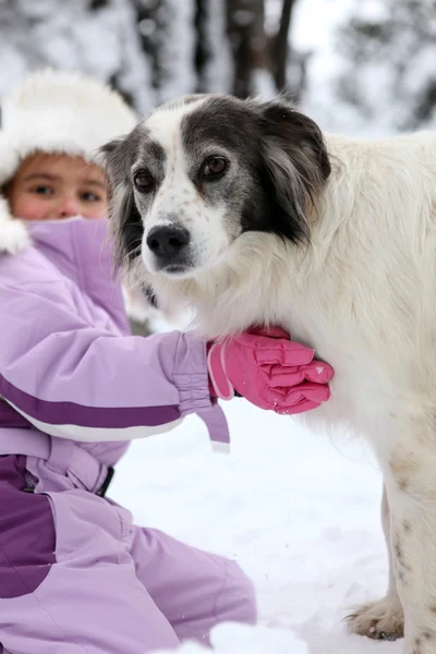Молода дівчина обіймає свого собаку — стокове фото