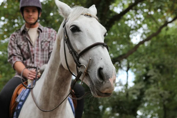 Um homem montado num cavalo . — Fotografia de Stock