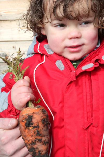 Little boy holding a carrot in kitchen garden — Stock Photo, Image
