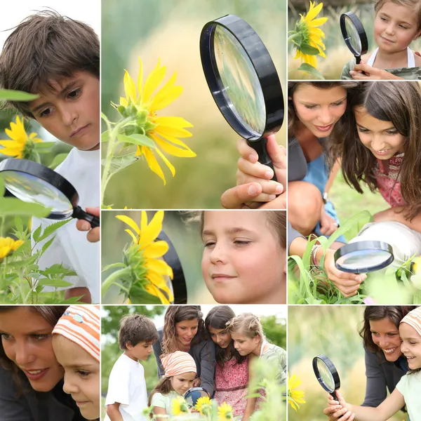 Family with magnifying glass nature spotting — Stock Photo, Image
