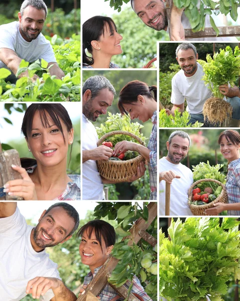 Collage de una pareja en su jardín —  Fotos de Stock