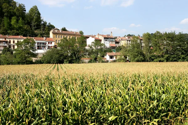 Село, оточене полем врожаю — стокове фото
