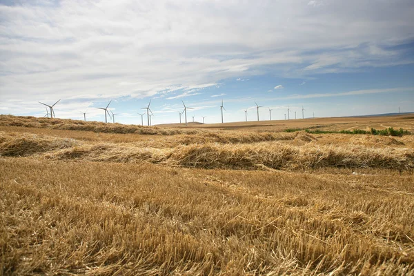 Rural wind farm — Stock Photo, Image