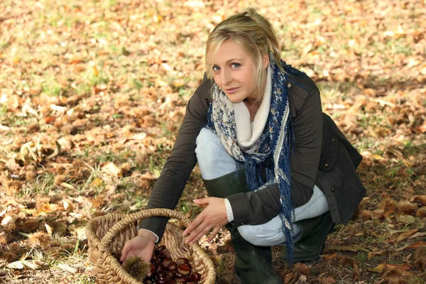 Frau im Wald sammelt Kastanien ein — Stockfoto