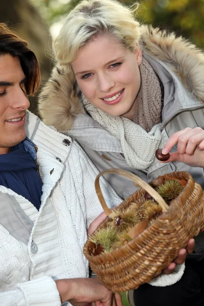 Couple with basket of chestnuts — Stock Photo, Image