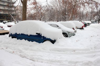 Cars Covered in Snow clipart