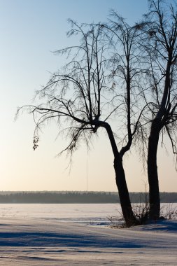 Winter landscape with a lone tree clipart