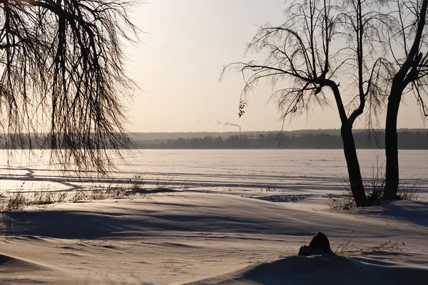 Ağaçların üzerinde kıyı ile kış manzarası — Stok fotoğraf