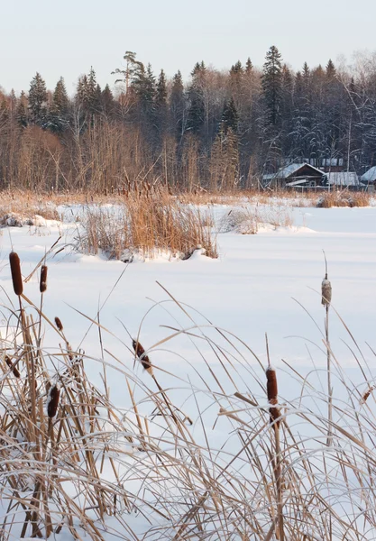Casa de campo en la orilla del estanque — Foto de Stock