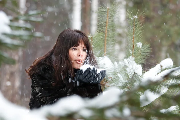 Retrato de una hermosa joven con las manos en la nieve — Foto de Stock