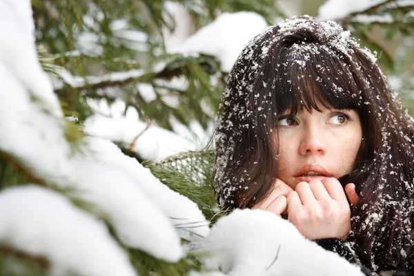 Retrato de una joven con la nieve en el pelo — Foto de Stock