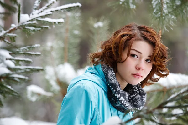 Portrait of a young girl on a background of a winter forest — Stock Photo, Image
