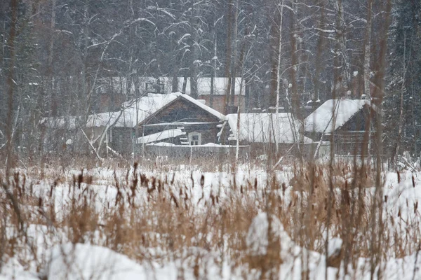Chata na břehu, sněhová bouře — Stock fotografie