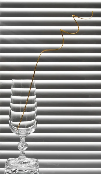 Spiral şube ile cam — Stok fotoğraf