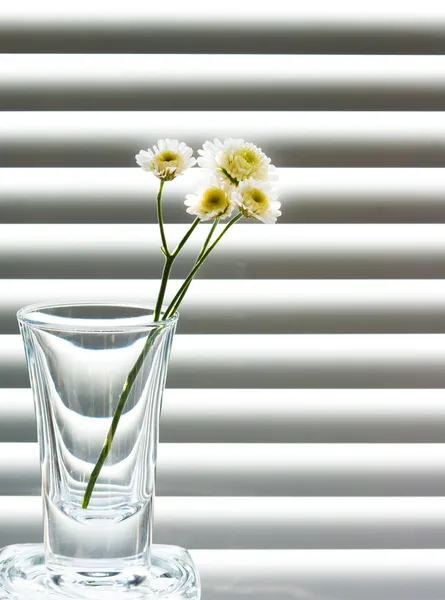 Ein Glas mit einem Zweig wilder Blumen Stockbild