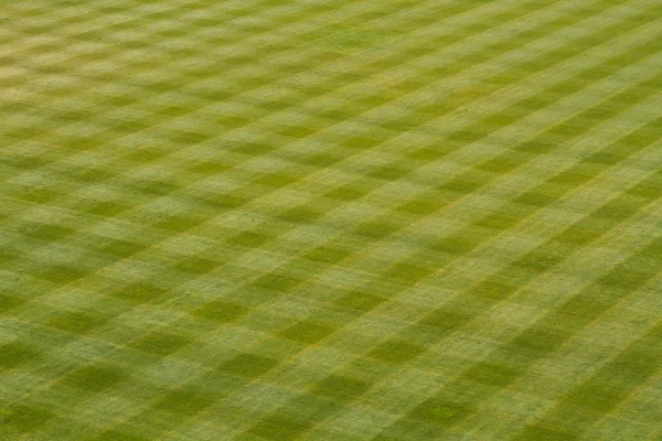 棒球外场草 — 图库照片