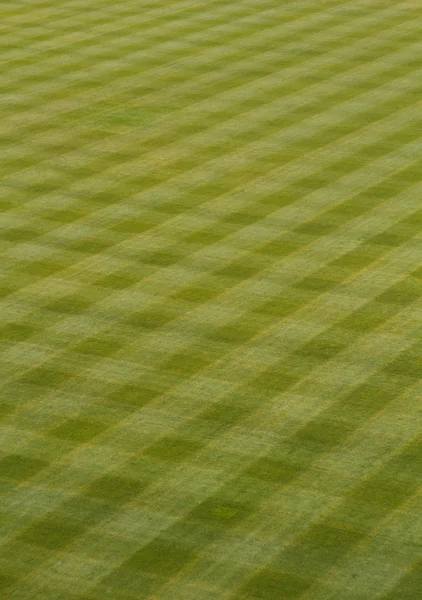Baseball outfield tráva — Stock fotografie