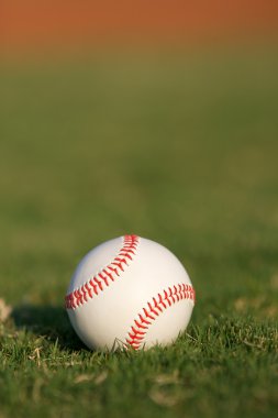 Baseball on the Field clipart