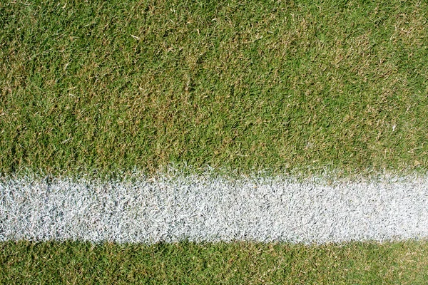 天然芝サッカー フィールド ライン — ストック写真
