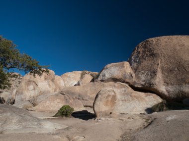 Güneybatı peyzaj