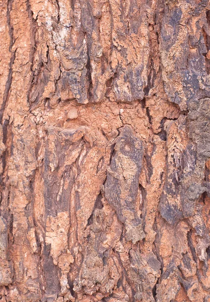 Textura de madeira abstrata e fundo — Fotografia de Stock