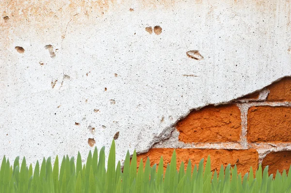 Gräs på väggen bakgrund och textur — Stockfoto