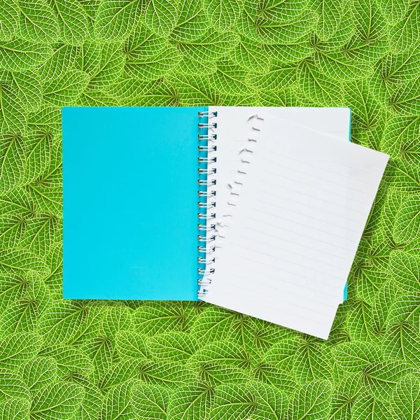 Öppna anteckningsboken på gröna blad bakgrund — Stockfoto