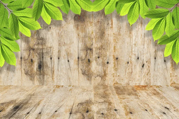 Zelené listy na dřevo pozadí snímku — Stock fotografie