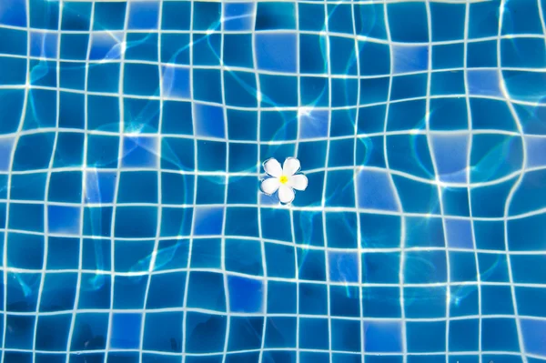 Flores blancas en el fondo de la piscina — Foto de Stock