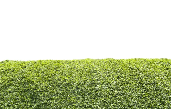 Grönt gräs på vit bakgrund, isolerade — Stockfoto