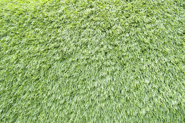 Yeşil çimen dokusu ve arkaplan — Stok fotoğraf
