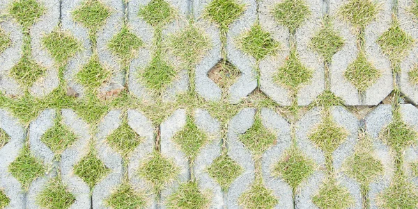 Parede de tijolo velho e fundo de grama verde — Fotografia de Stock