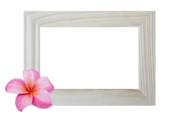 Window frame isolated on white background with flower — Zdjęcie stockowe