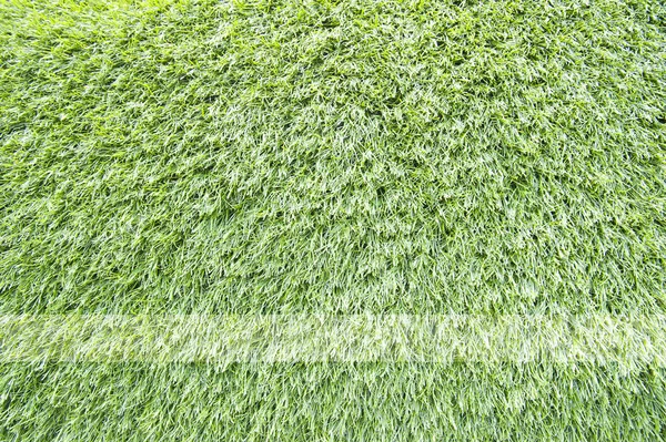 Hierba verde textura y fondo — Foto de Stock
