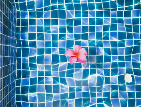 Kwiaty w tle basen — Zdjęcie stockowe