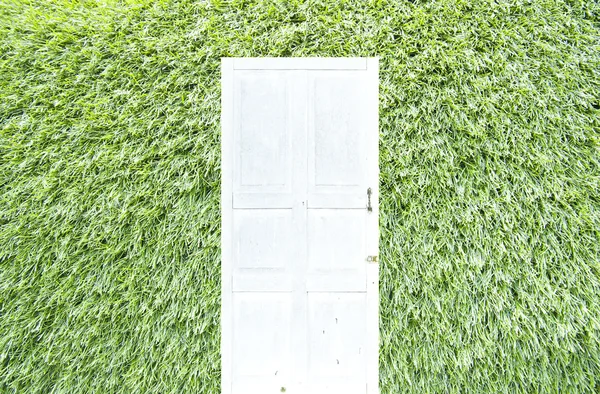 Witte deur op groen gras achtergrond — Stockfoto
