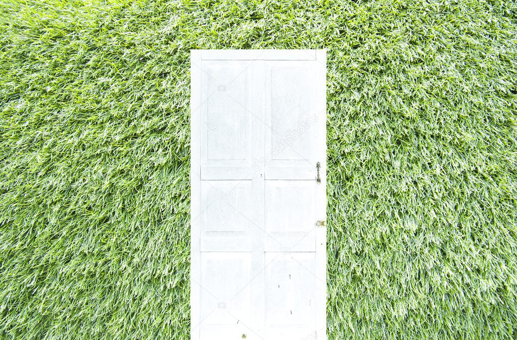 White door on green grass background
