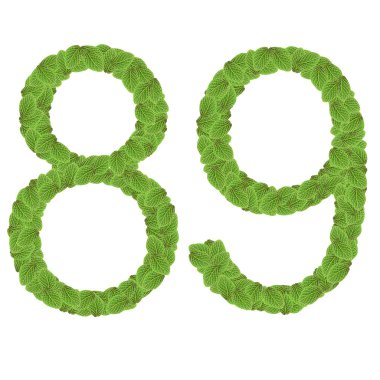 Alfabe harf numarası yapraklar beyaz arka planda (8 9)