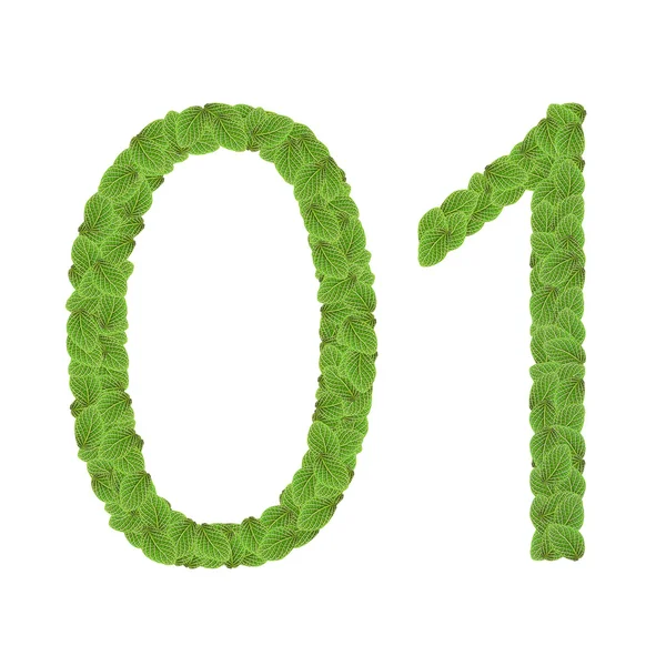Alfabet litery liczby liści na białym tle (0 1) — Zdjęcie stockowe