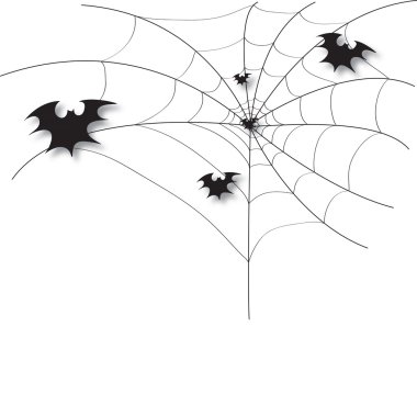 bir örümcek ağı bat