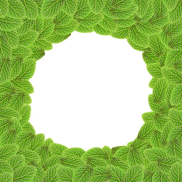 Green Leaf Background, space for text — Stock Photo, Image