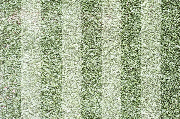 Gräs för bakgrund, struktur och patten — Stockfoto