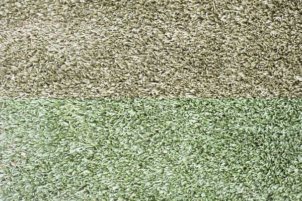 Gras für Hintergrund, Textur und Patten — Stockfoto