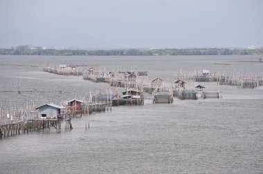 Balık çiftlikleri chanthaburi, Tayland